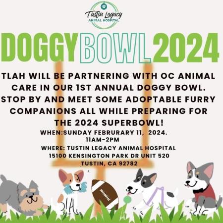 Tustin Legacy Animal Hospital's Doggy Bowl