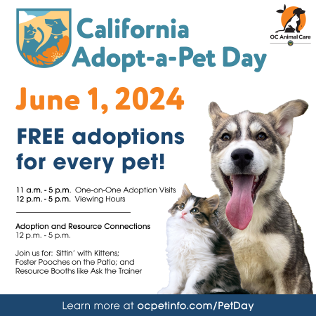 CA Adopt-a-Pet Day 2024