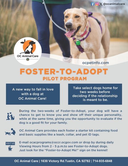 OCAC Foster-to-Adopt Flyer