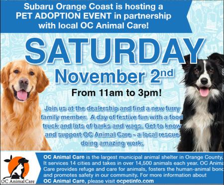 Subaru Orange Coast Pet Adoption Event_11.2.24