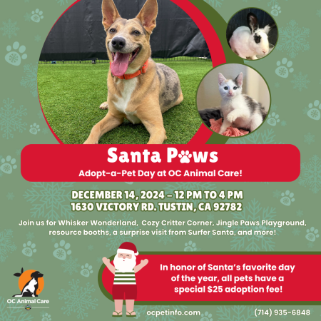 Santa Paws Adoption Event_12.14.24