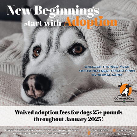 January 2025 Adoption Promotion_Social Media