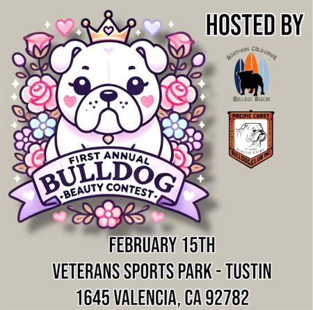 The First Annual Bulldog Beauty Contest_2.15.25