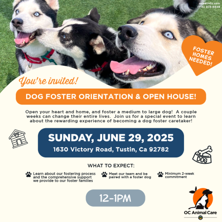 Dog Foster Orientation and Open House June 2025