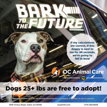 June 2025 Adoption Promotion_Social Media