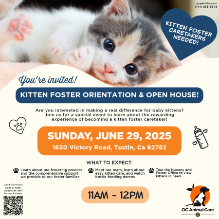 Kitten Foster Orientation and Open House June 2025