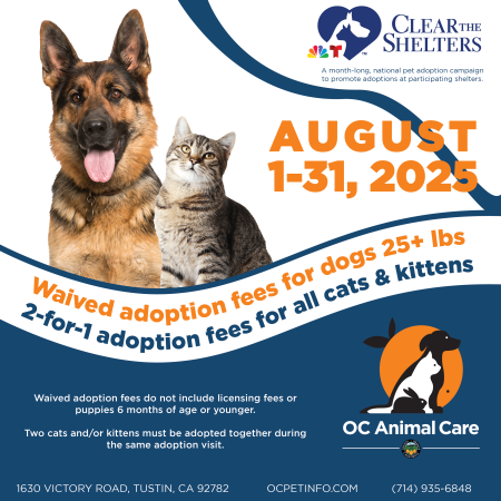 August CTS 2025 Adoption Promotion