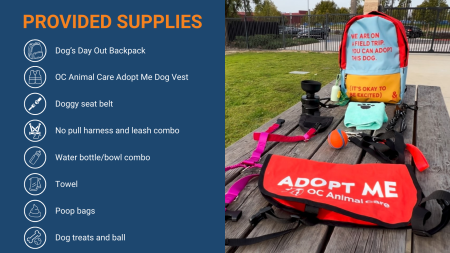 List of supplies included in Dog's Day Out