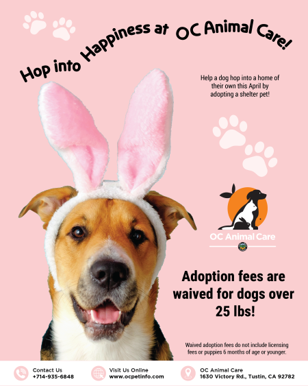Hop Into Happiness at OC Animal Care