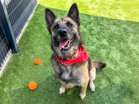 Maria sitting and smiling