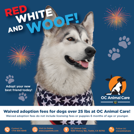 July 2026 Adoption Promotion